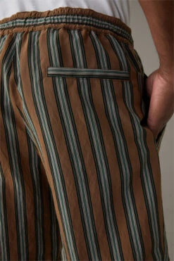 Strellson Streifen-Shorts Kaji, Dunkelbeige/grün -Strellson 9752575705118